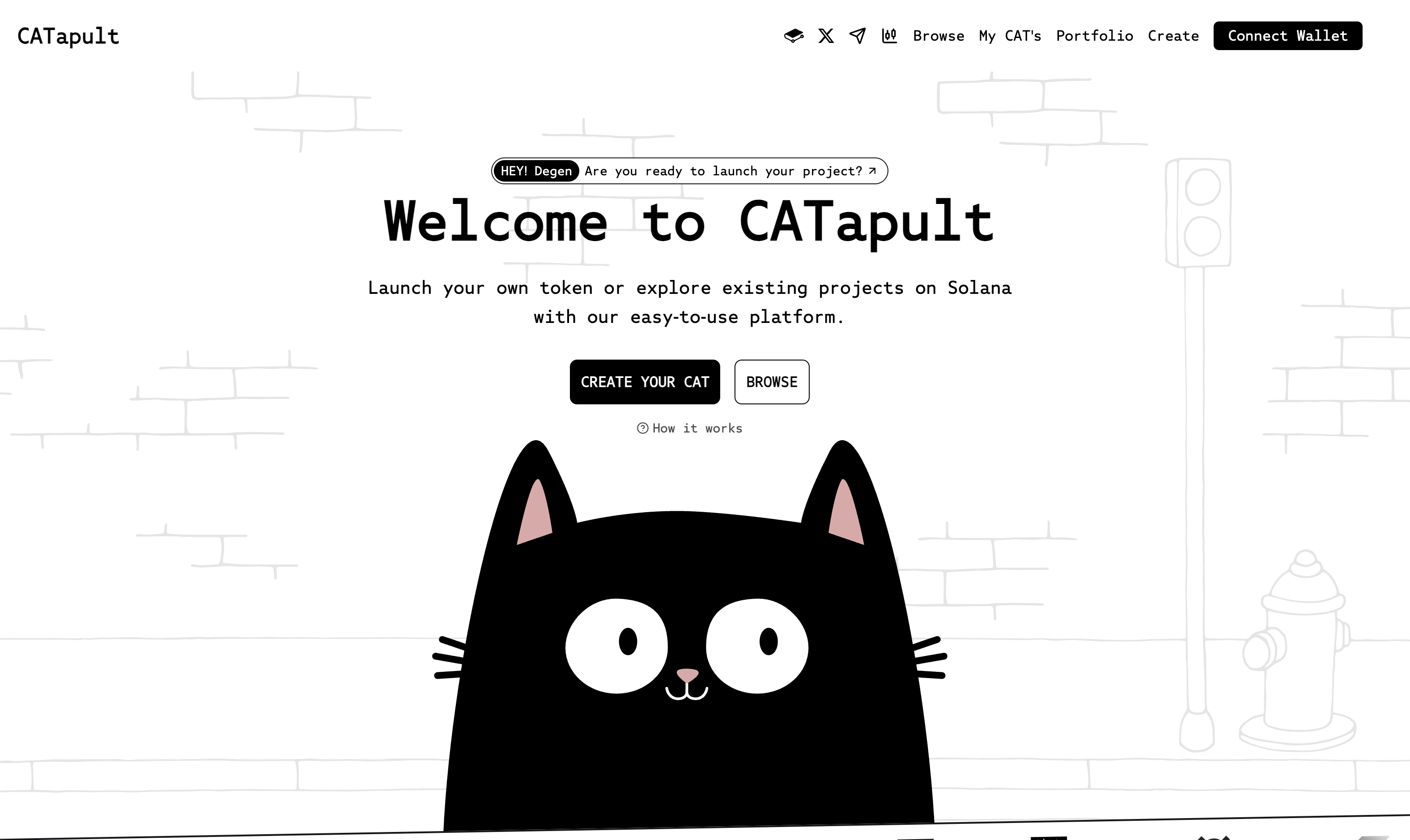 CATapult